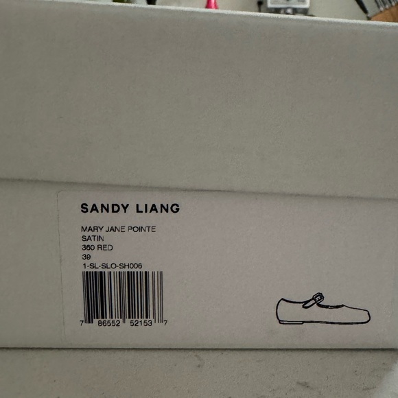 MARY JANE BALLET FLAT - Sandy Liang - Picture 4 of 6